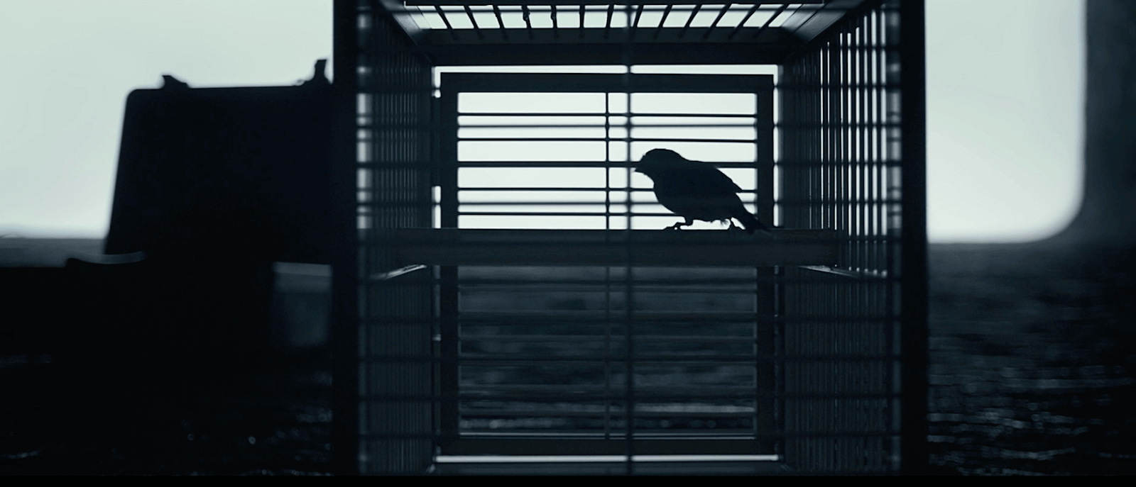 Denis-Villeneuve-Arrival-Image Denis Villeneuve Arrival Image